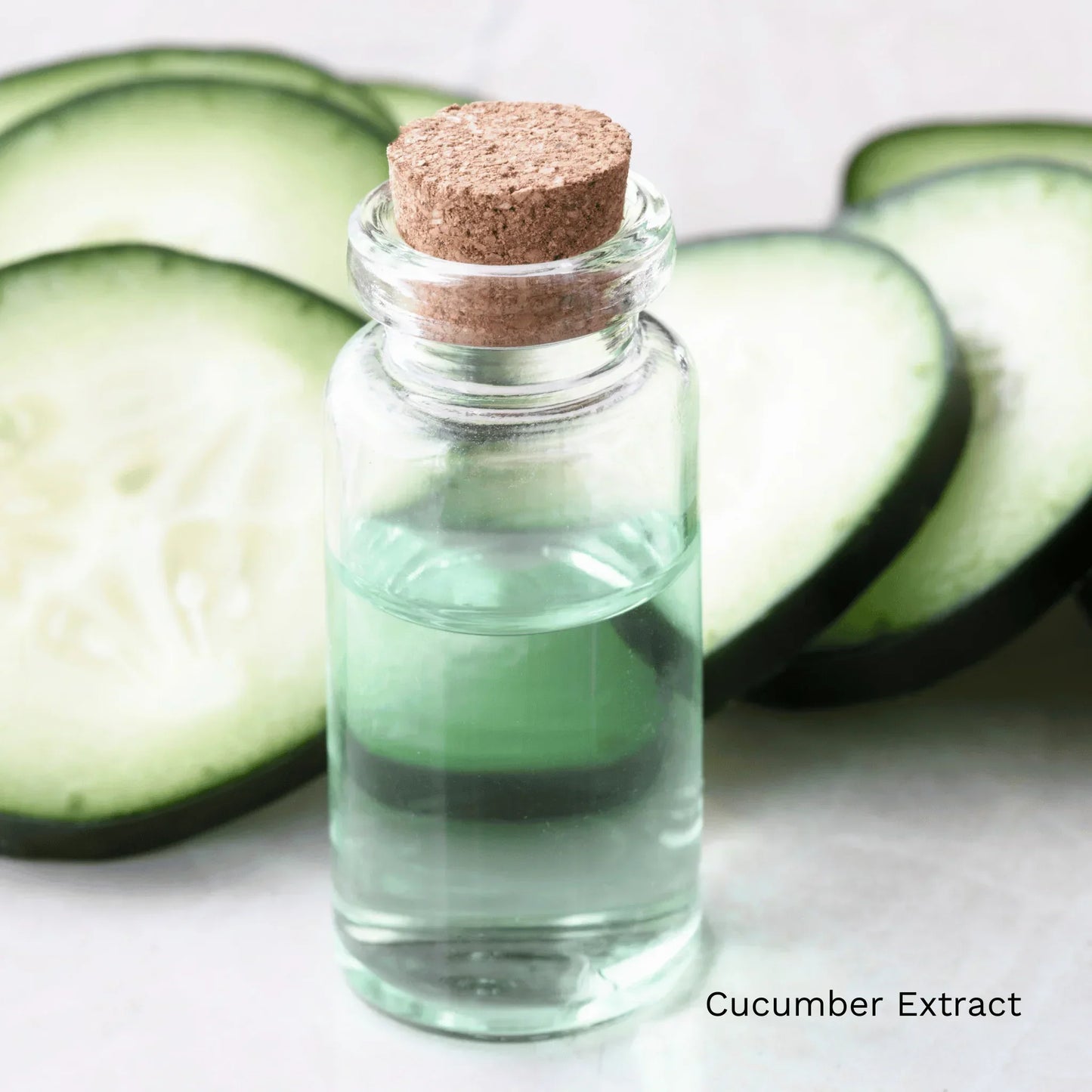 Cucumber Extract