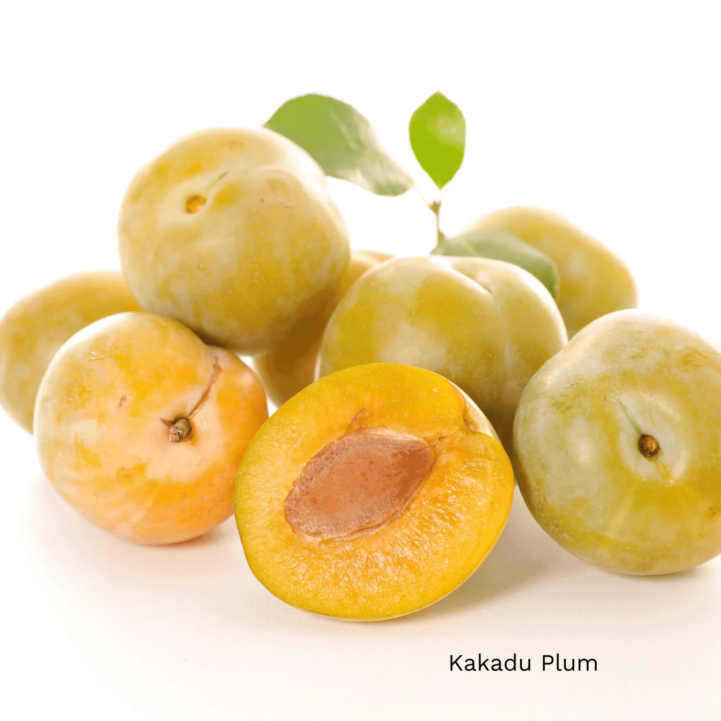 Kakadu Plums have a high vitamin C content