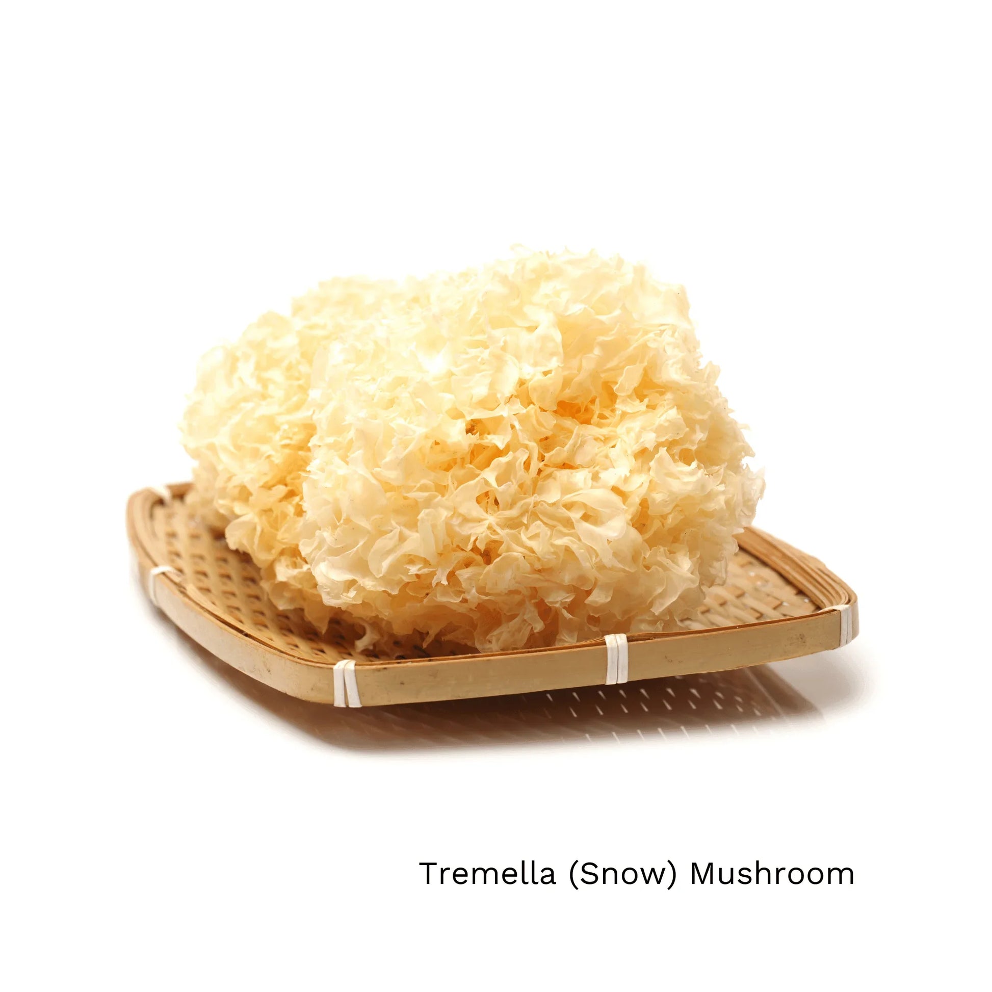 Tremella Mushroom also known as snow mushroom
