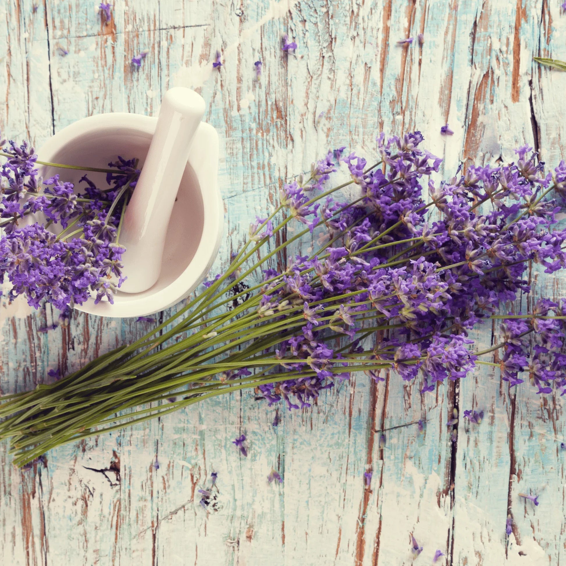lavender powder in Be Green Bath and Body Baby Powder