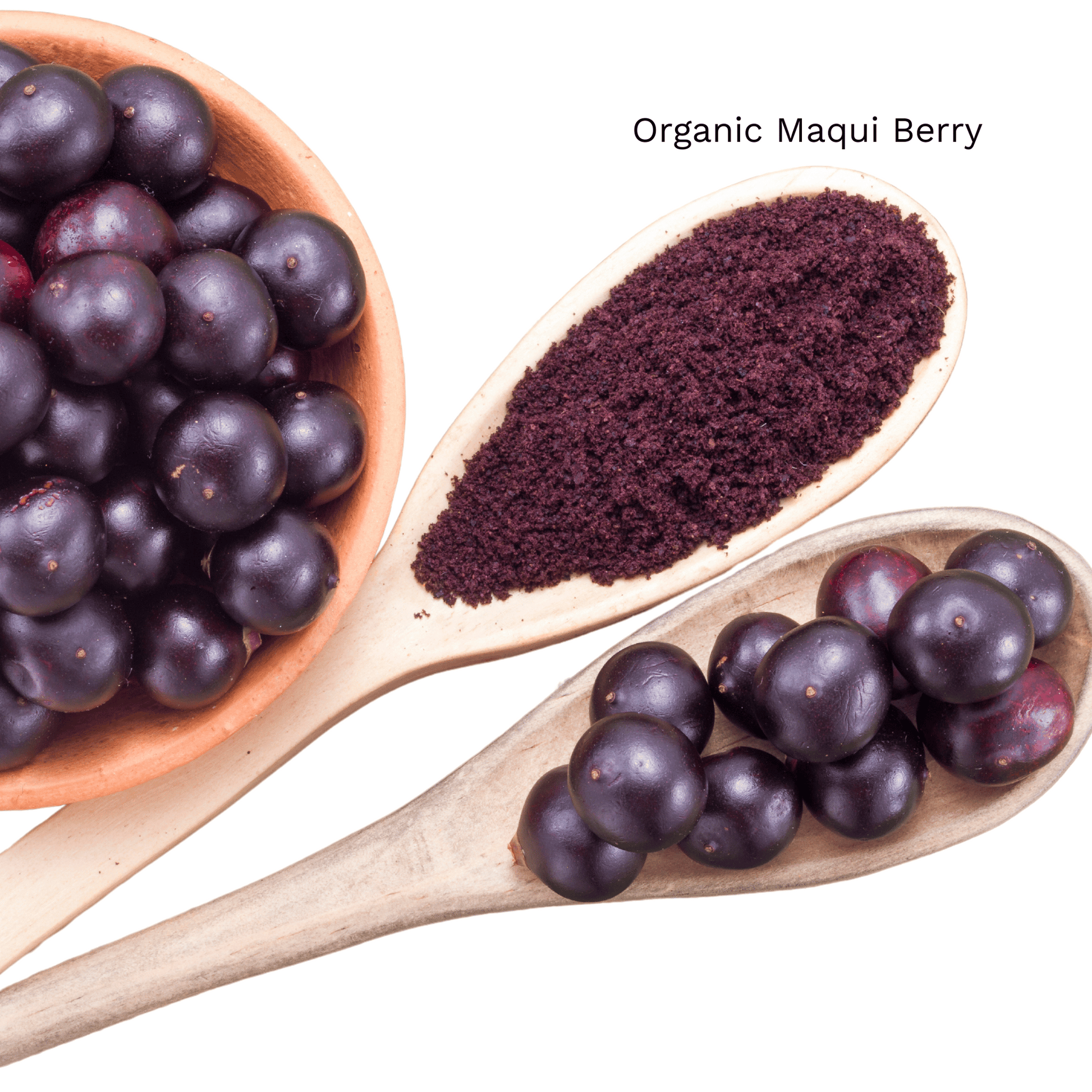 Organic Maqui Berry Powder