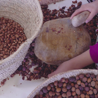 Video of removing argan nuts from the shell