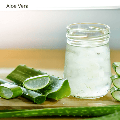 Be Green Bath and Body Green Tea Foaming Facial Cleanser contains aloe vera