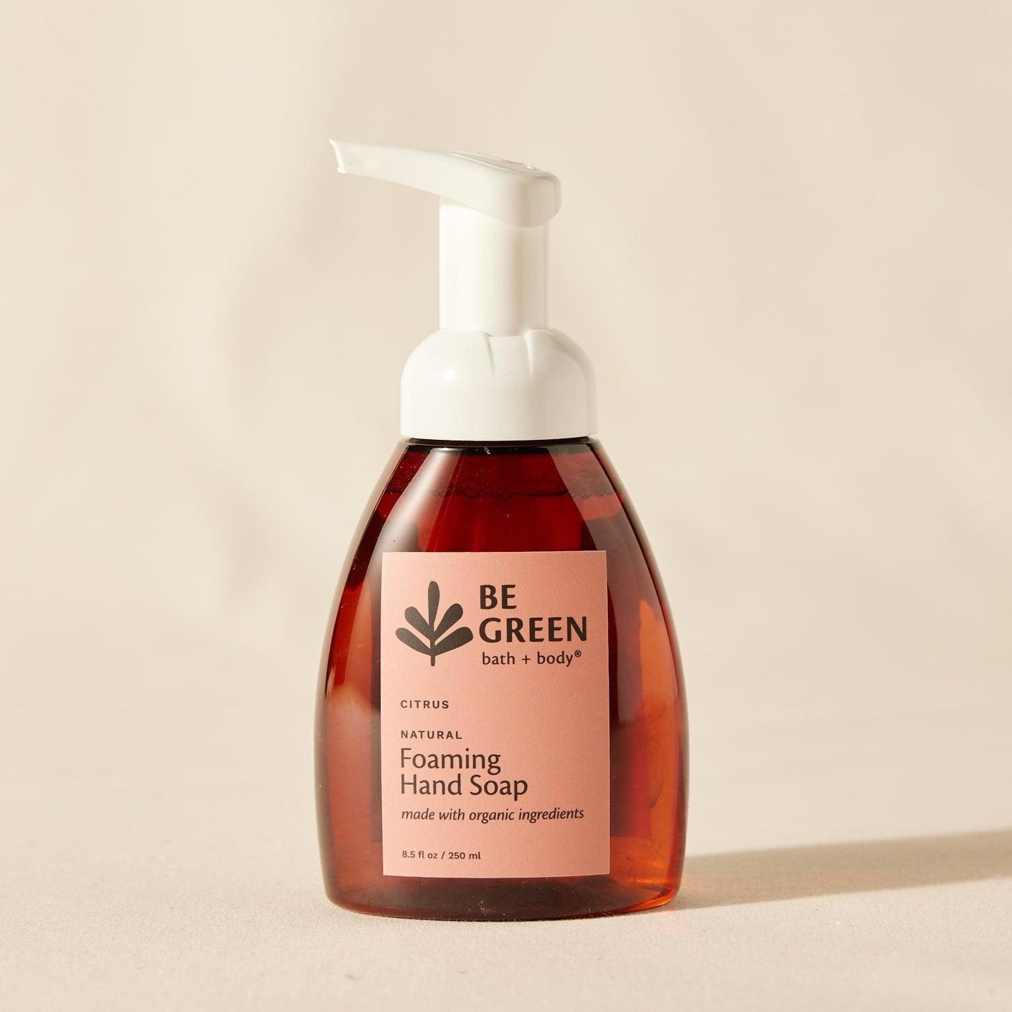 Natural foaming hand soap without triclosan EWG Verified