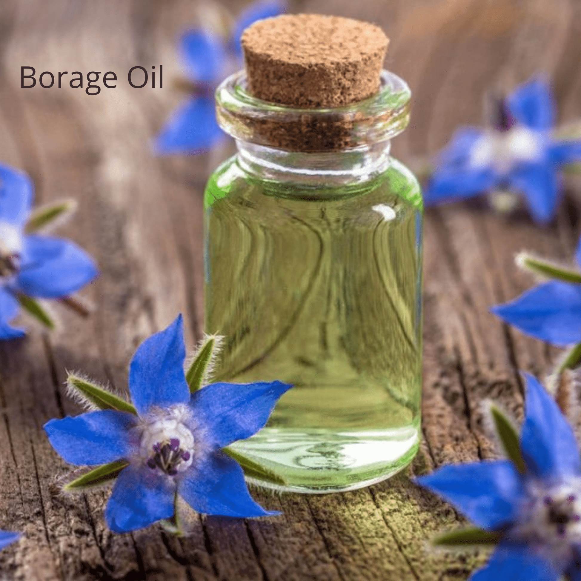 Be Green Bath and Body Serum for Dry/Normal/Mature Skin contains borage oil