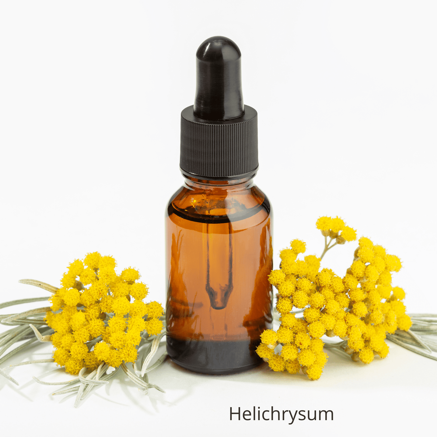 Be Green Bath and Body Rosehip Regenerative Serum contains helichrysum oil