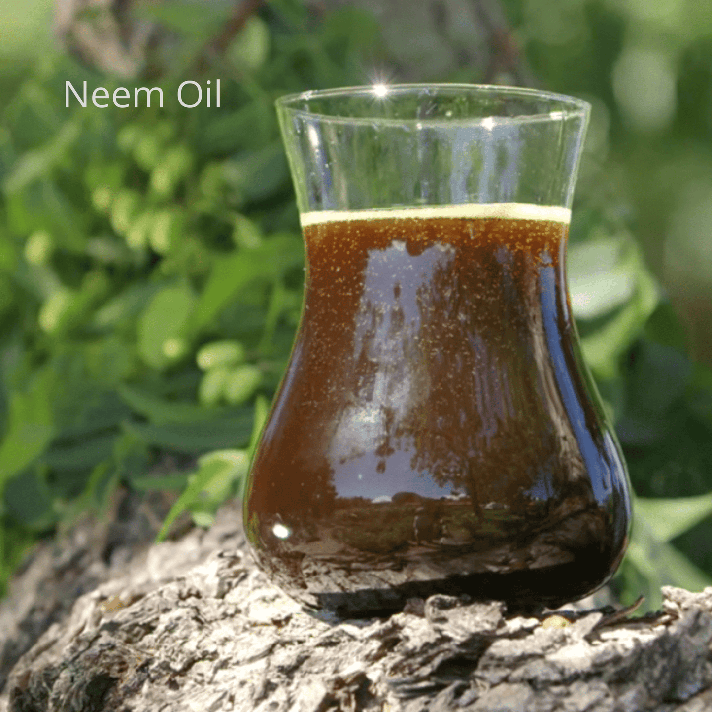 Be Green Bath and Body Hair Oil contains neem oil