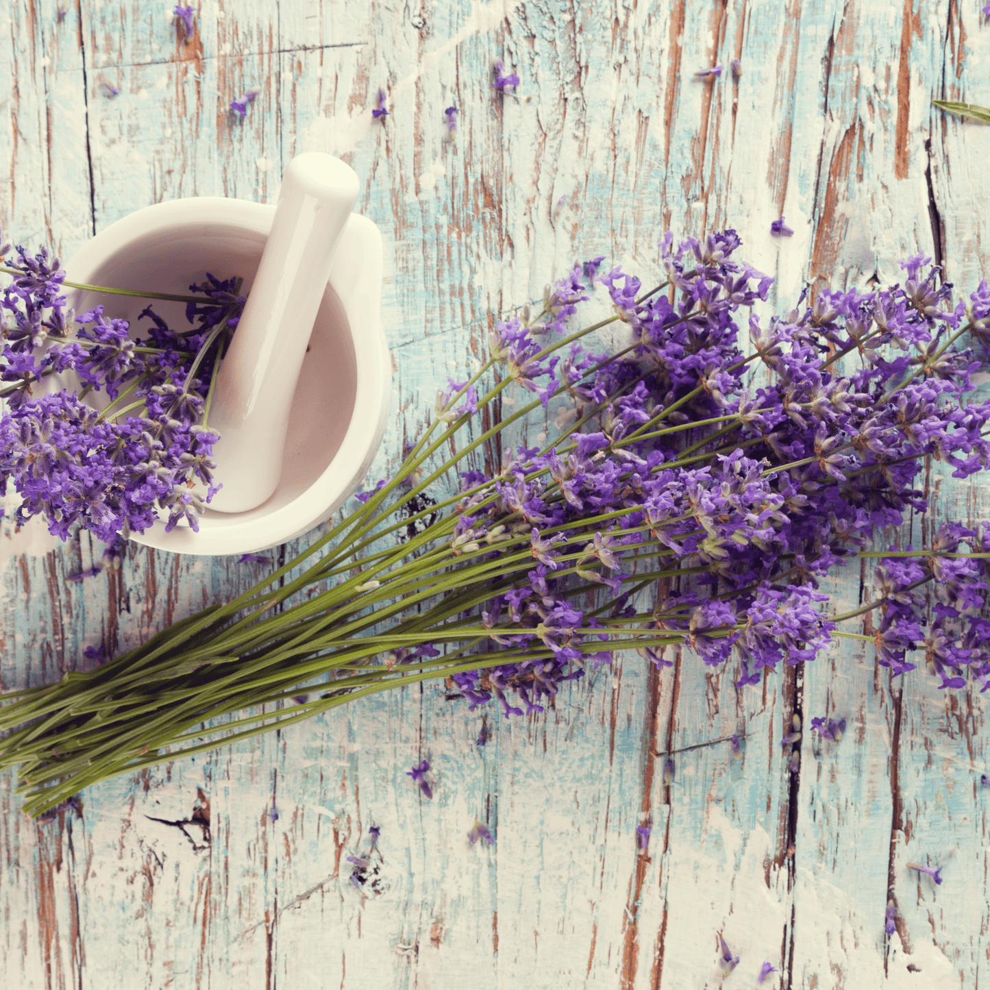 lavender powder in Be Green Bath and Body Baby Powder