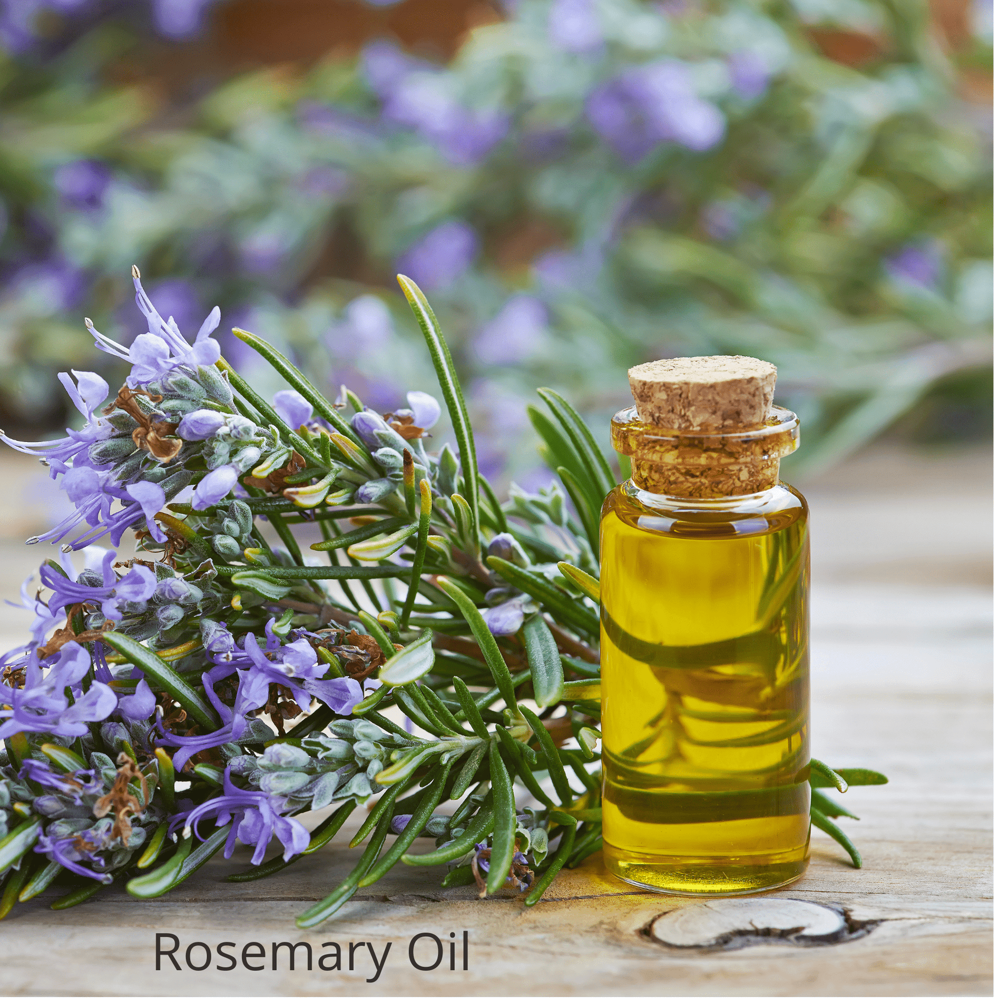 Be Green Bath and Body Deodorant contains rosemary essential oil