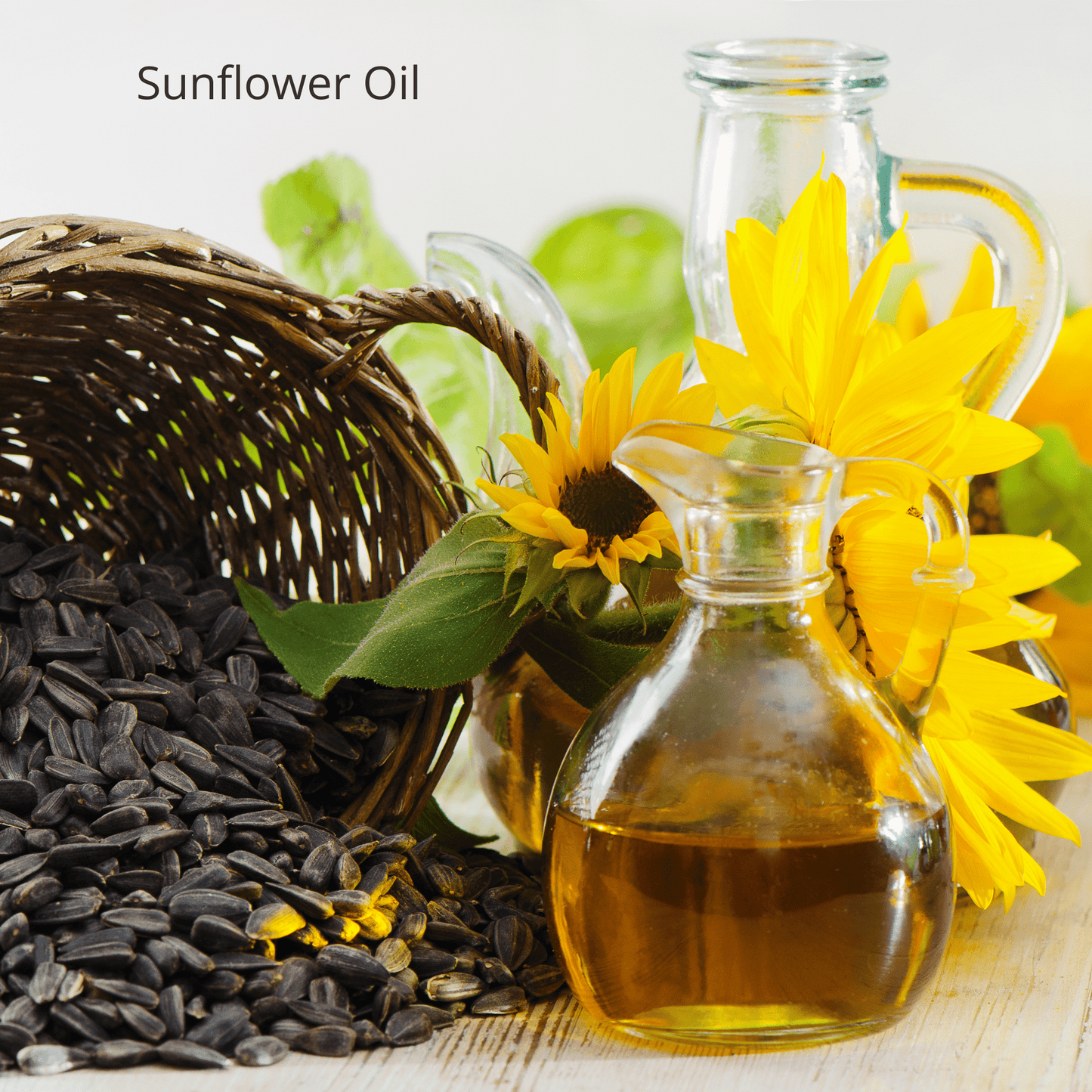 sunflower oil in Be Green Bath and Body Body Oil