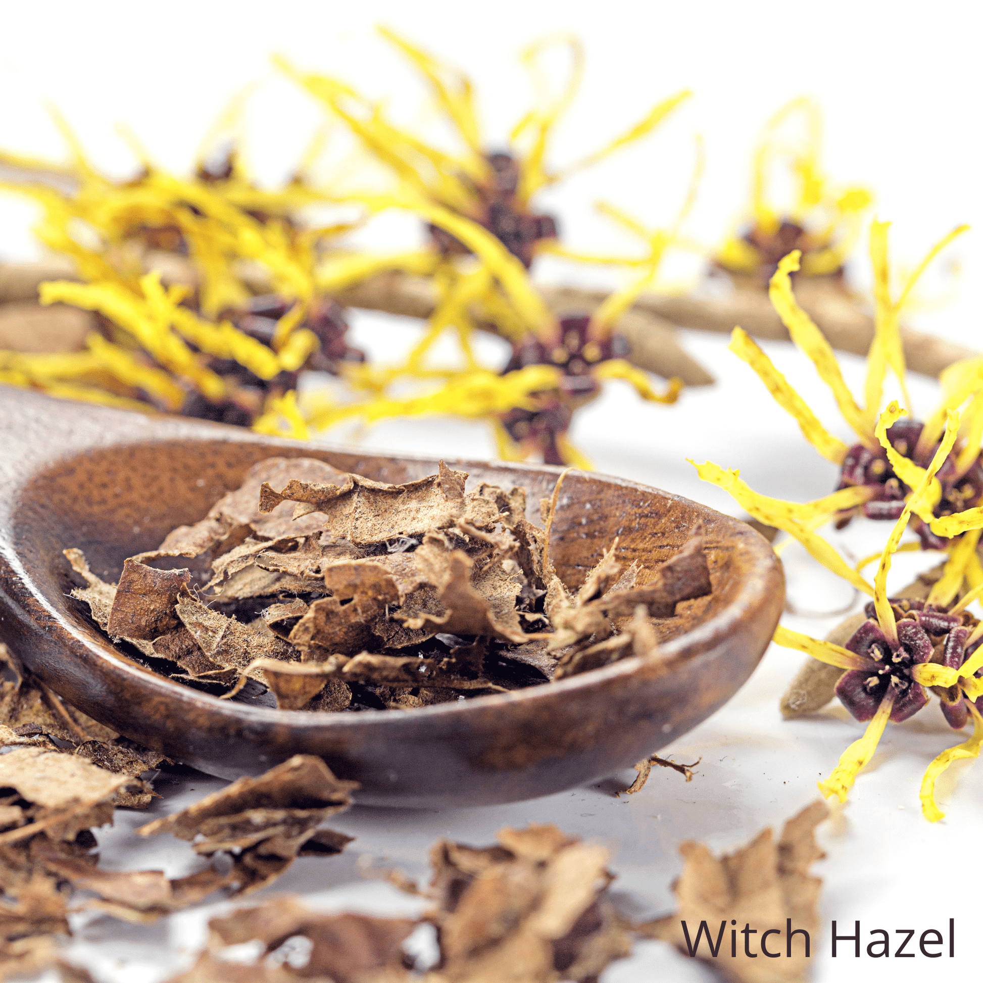 witch hazel in Be Green Bath and Body Blemish Defense